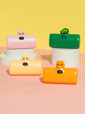 카카오프렌즈 빼꼼 도킹형 20W 고속충전 보조배터리 5000mAh (C타입)