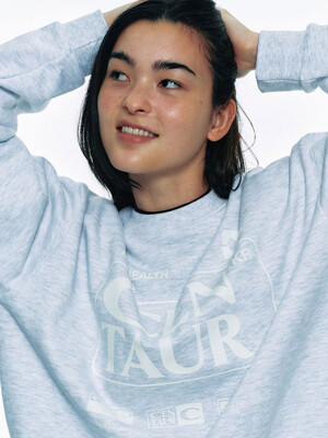 ALL ABOUT CENTAUR SWEATSHIRT_GREY