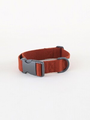 Daily collar _ brick