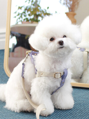 Running Mate Harness_White/Violet