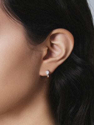 WAV102 Shining Crystal Earrings