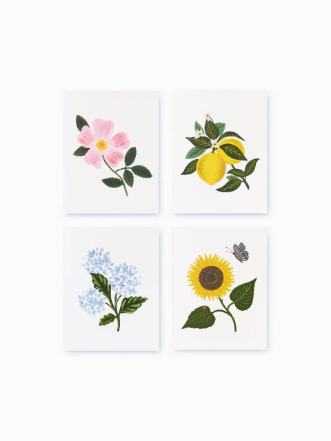 문구 - 라이플페이퍼 (RIFLE PAPER) - 라이플페이퍼 Assorted Botanical Blossom Set 카드 세트