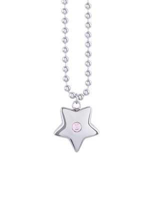 STAR NAMING NECKLACE_반려견 인식표