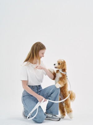 Saffiano classic leather skin leash | 사피아노 클래식 레더 스킨 리쉬 (3 color)