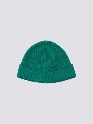 Llia beanie Green