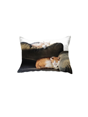 sofa cat pillow cover