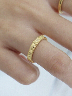 Holiday Dream Ring 02