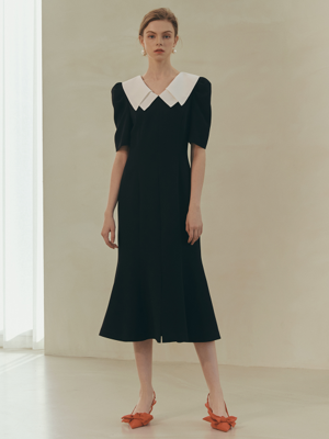 Molly / Point Collar Flare Dress
