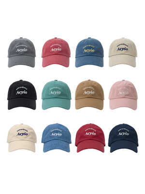 NEW LOGO BALLCAP (12 Colors)