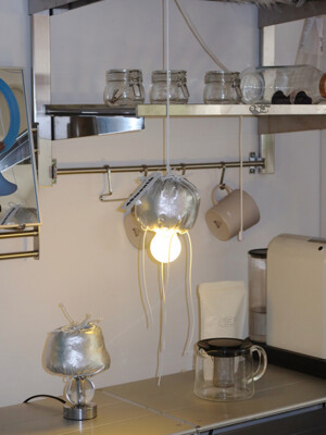 silver hanging lamp