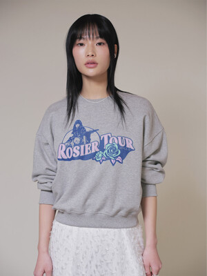 ROSIER Graphic Sweatshirt in Grey VW4SE028-12