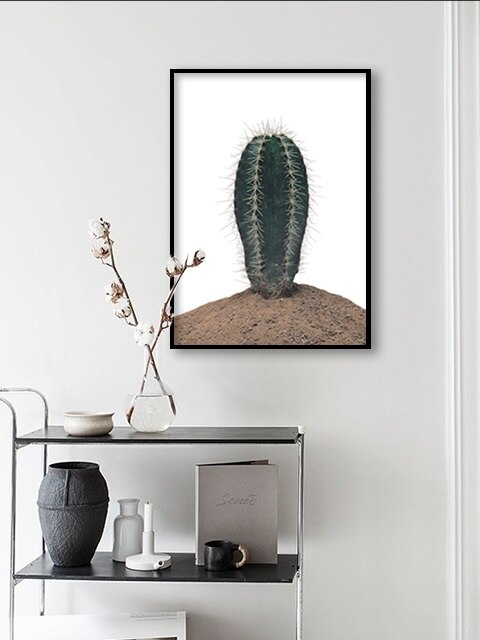 CACTUS_3