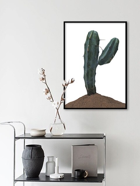 CACTUS2