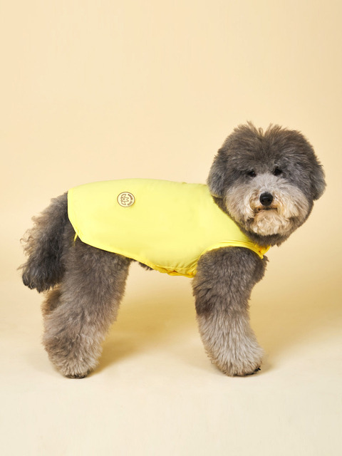 반려동물 - 엔젤도그 (ANGEL DOG) - 강아지 여름옷 접촉냉감 쿨나시 Yellow