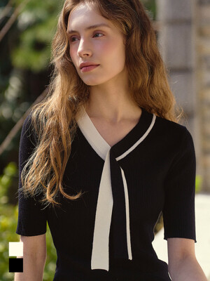 CLASSIC TWO-TONE V-NECK SLIM KNIT (2COLOR)