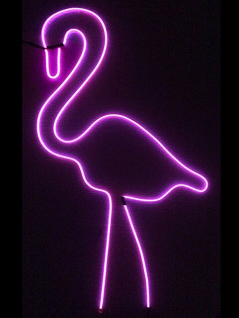 Flamingo color neon