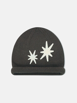 Flare Roll Brim Beanie Brown