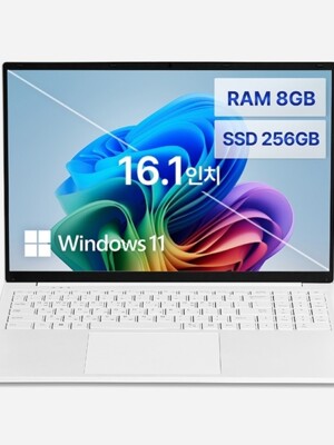 베이직북16 WIN11 8/256 BB1624FW