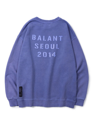 Pigment Reborn Basic Sweatshirt - Purple