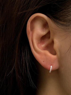 Small Crystal Earrings