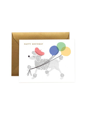 라이플페이퍼 French Poodle Birthday Card 생일 카드