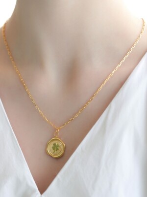 Lucky clover pendant silver Necklace