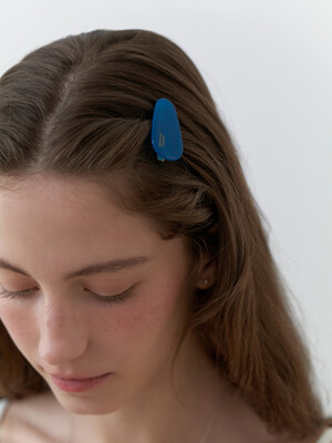 Carry Barrette Pebble Hair Clip Set
