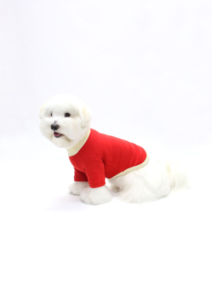 TURTLENECK TSHIRT-RED(반팔티)