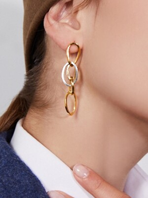 Twisted Two Tone Earrings