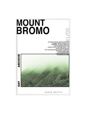 Mount Bromo 포스터