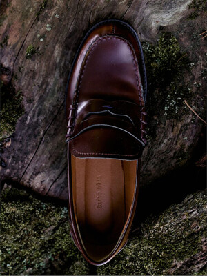 Classic Penny Loafer  Brown (KE48K2M01D)