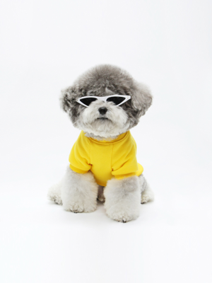 KINI PAINTING DOG TSHIRT-YELLOW(반팔티)