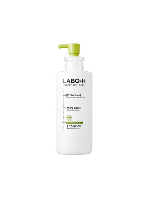 LABO H