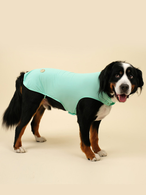 반려동물 - 엔젤도그 (ANGEL DOG) - 강아지 여름옷 접촉냉감 쿨나시 Mint