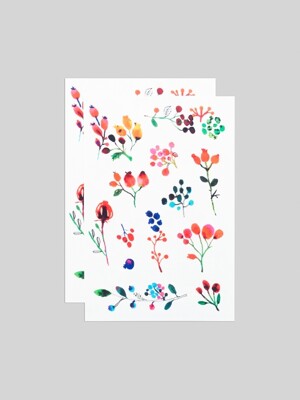 Wild Berries Sheet  타투 스티커 시트