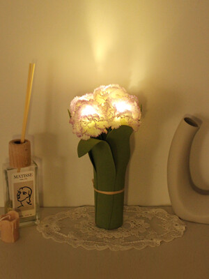 carnation LED 조명 (WP)