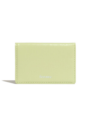 CRINKLE SOFT CARD CASE - SAGE MINT