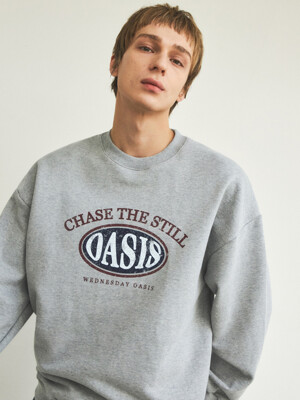 Vintage Crack Oasis Sweatshirt_3Color(W25-TP03)
