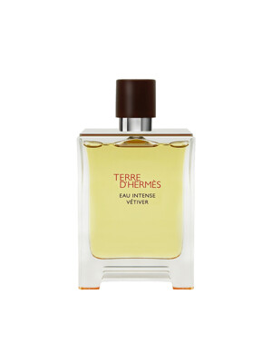 에르메스 떼르 데르메스 오 엥땅스 베티베르 EDP 100ml