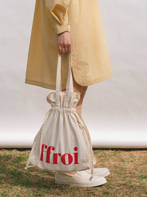 eco bag