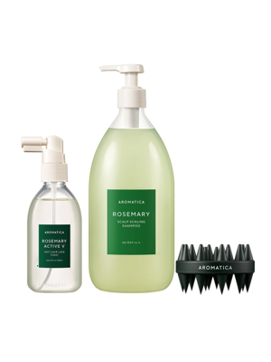 아로마티카 로즈마리 스칼프 스케일링 샴푸 1L + 토닉 100ml + 샴푸브러쉬