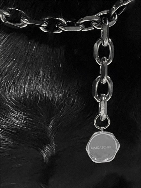 반려동물,반려동물 - 올주얼라이즈 (ALLJEWELRIZE) - UNIT CHAIN NECKLACE for PET_SILVER (S/M/L/CUSTOM)