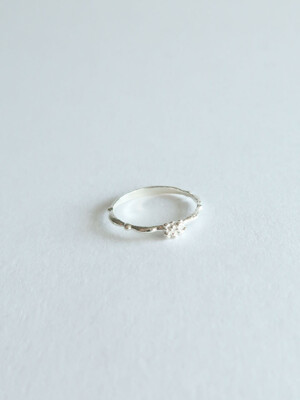 Antique seed ring [silver/gold]