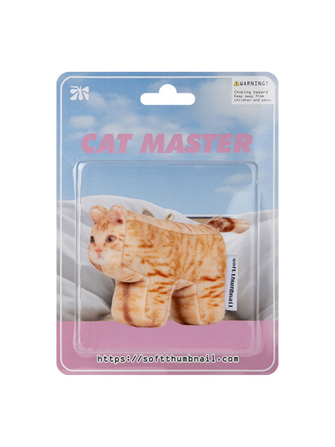 소프트썸네일 Cheese, Domestic Shorthair