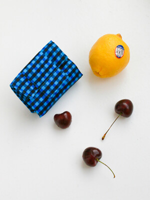 Gingham Mini Pouch - Blue