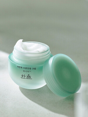 어린쑥 수분진정크림 55ml