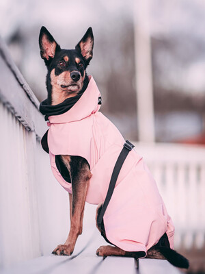 Visibility Raincoat Lite Pink for Dogs (강아지 반사 우비)