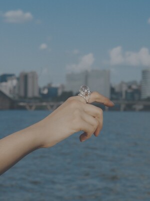 Moment in seoul. Ring 01