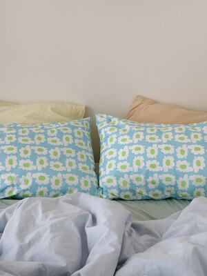 bloom sky pillow