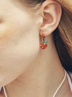 Fruit Drop Earrings_VH2336EA014B